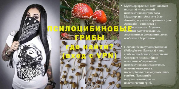спайс Новодвинск