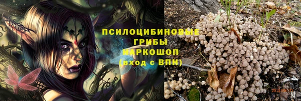 спайс Новодвинск