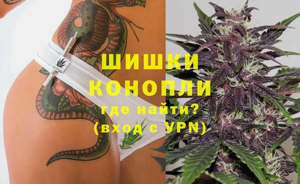 сатива Нефтекумск