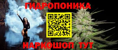 кокс Гусев