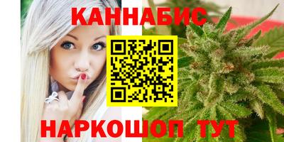 индика Гусь-Хрустальный