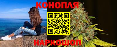 индика Гусь-Хрустальный