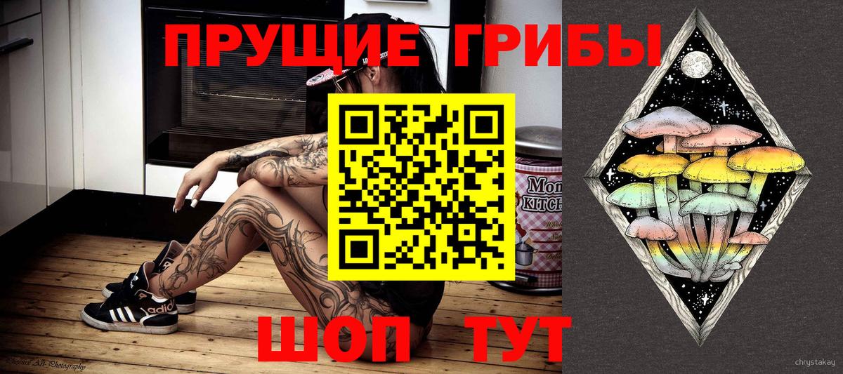 Луга  Псилоцибиновые грибы Psilocybe  купить наркотики цена  Вход с VPN 
