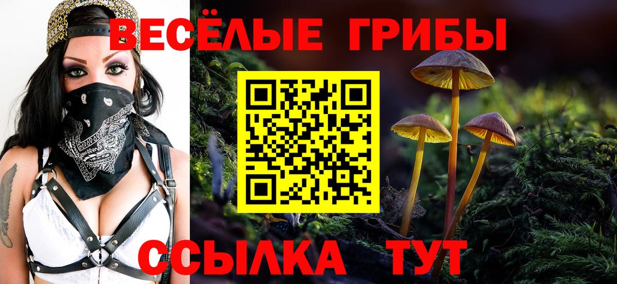 Псилоцибиновые грибы ЛСД Луга